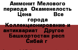 Аммонит Мелового периода. Окаменелость. › Цена ­ 2 800 - Все города Коллекционирование и антиквариат » Другое   . Башкортостан респ.,Сибай г.